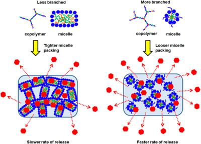 Branched PCL-Based Thermogelling Copolymers: Controlling Polymer Architecture to Tune Drug Release Profiles